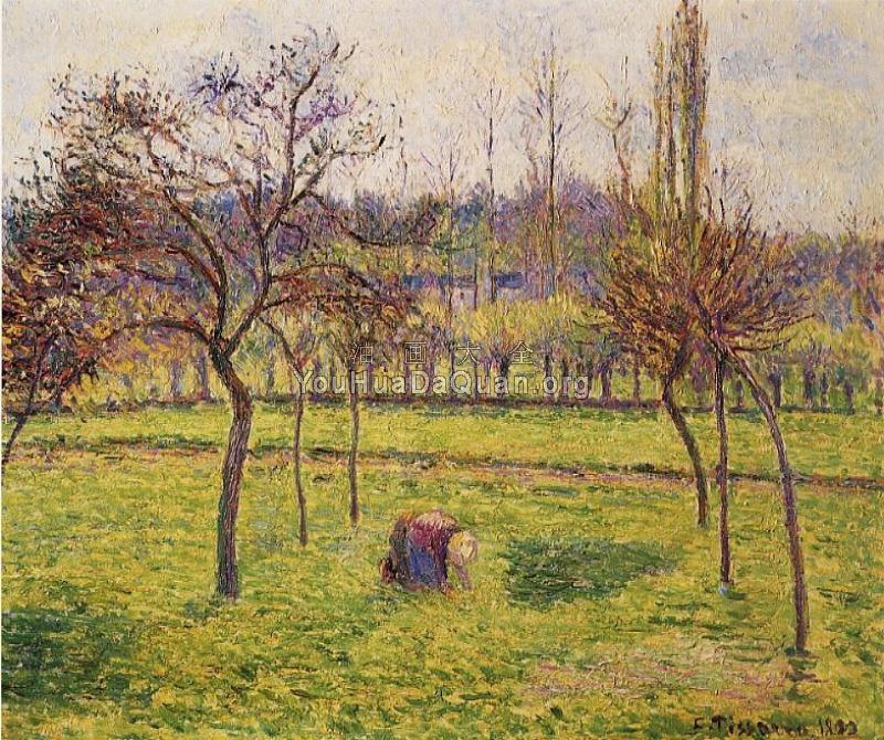 Apple Trees in a Field - 卡米耶·毕沙罗